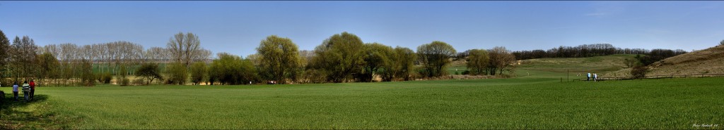 Osterspaziergang zu den Adonisröschen