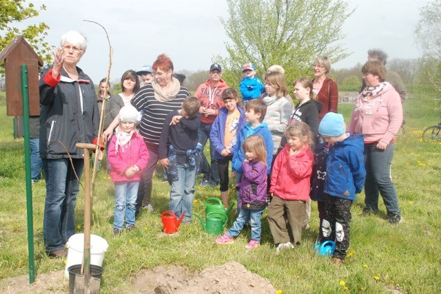 Baumdesjahres2016_1